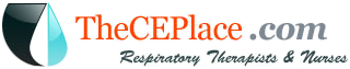 The CE Place Logo